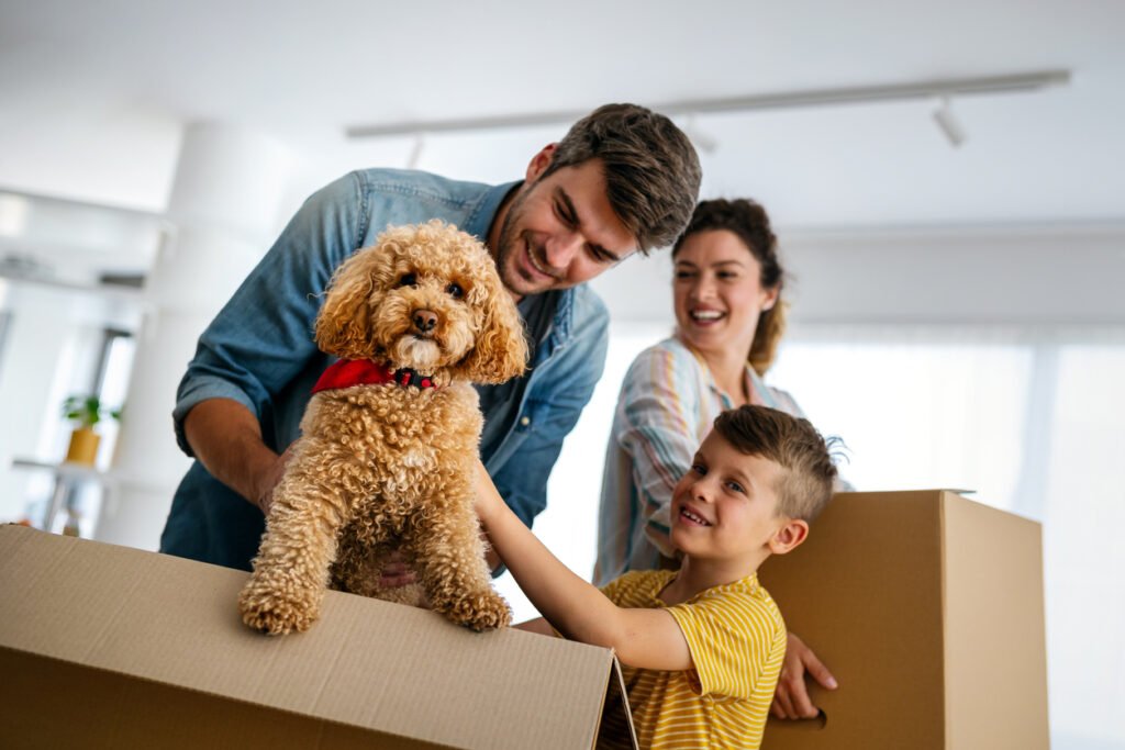 How to Move With Pets Safely